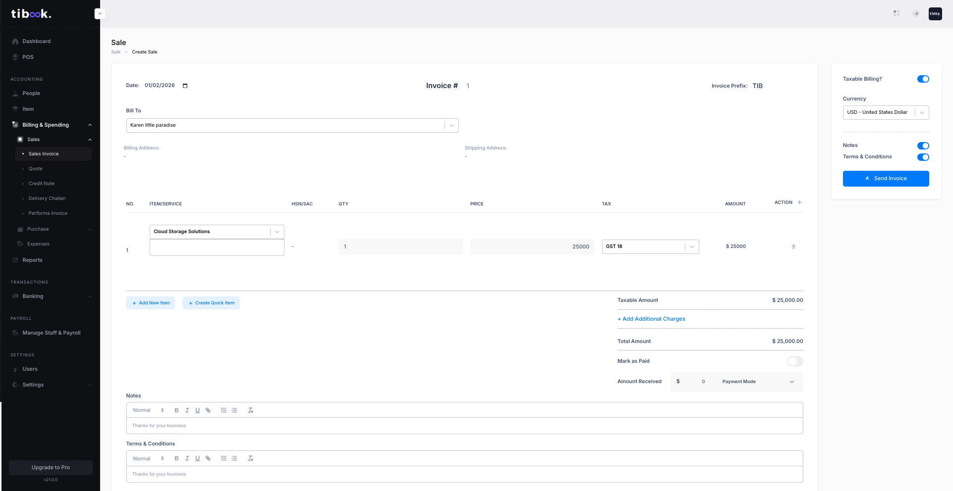 Professional invoice creation in TiBook
